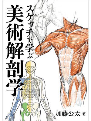 cover image of スケッチで学ぶ美術解剖学